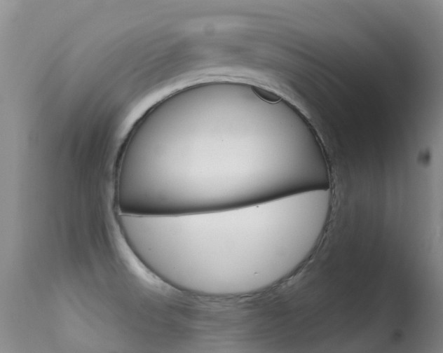 X0000114691523200910211043