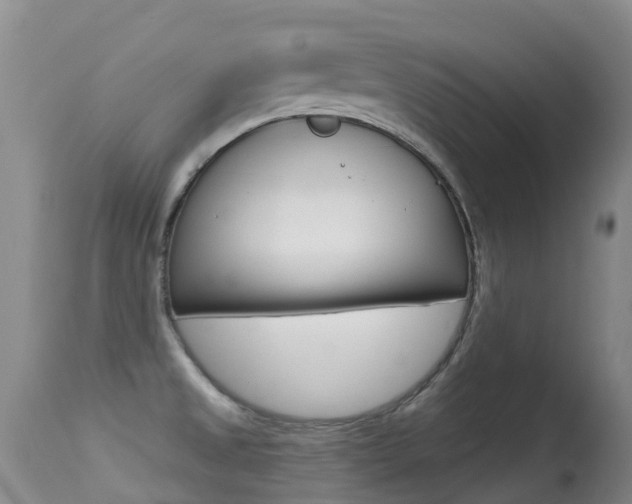 X0000114691525200910211043