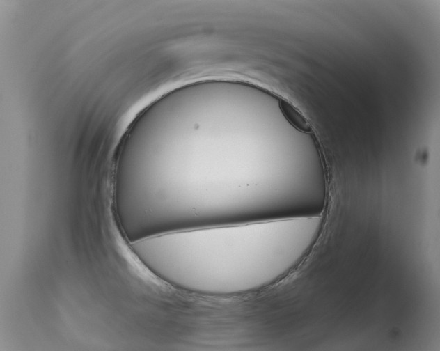 X0000114691526200910211043