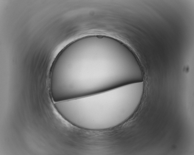 X0000114691527200910211043