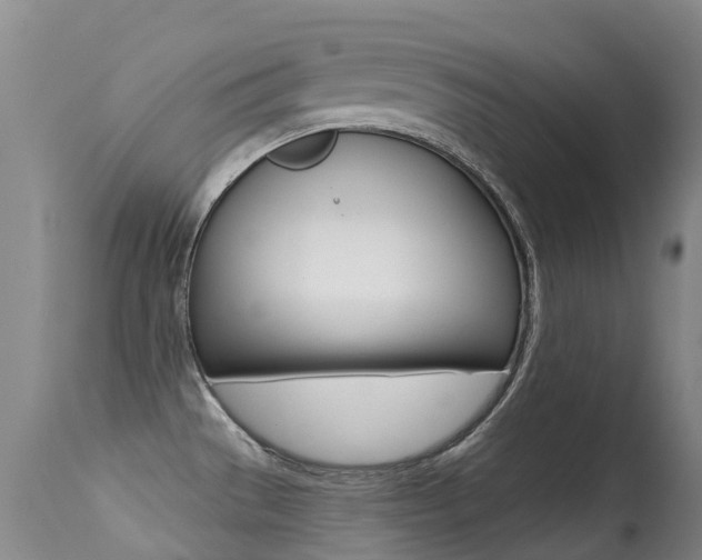 X0000114691529200910211043
