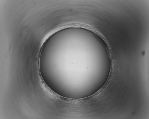 X0000114691530200910211043
