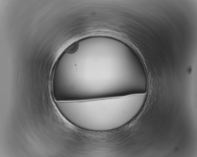 X0000114691533200910211043