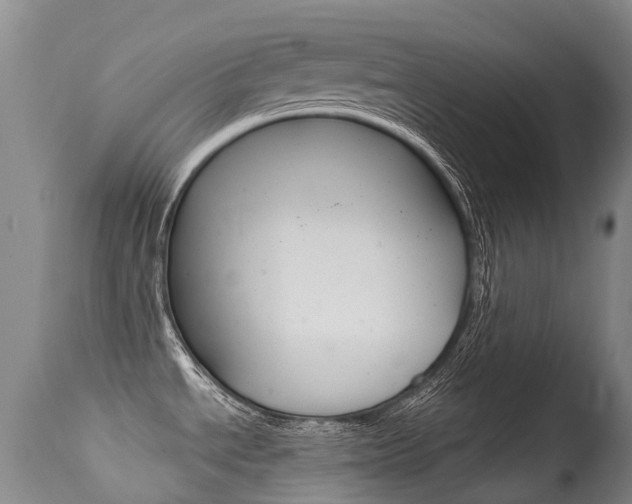 X0000114691534200910211043