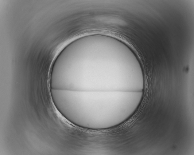 X0000114691535200910211043