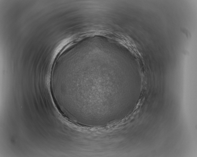 X0000114690003200910211322