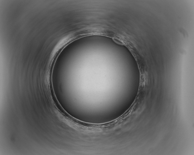 X0000114690004200910211322