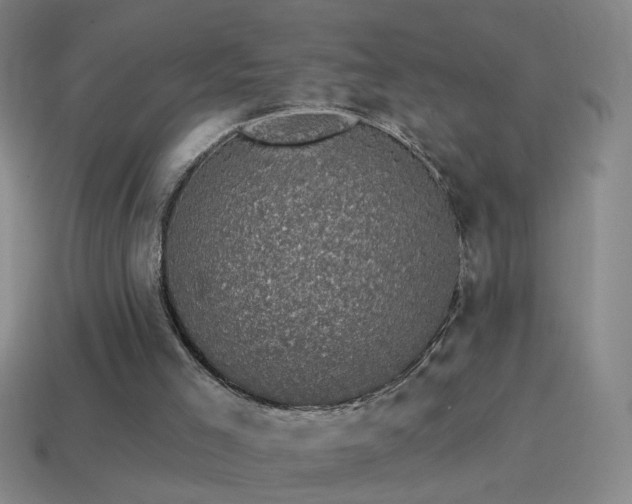 X0000114690005200910211322