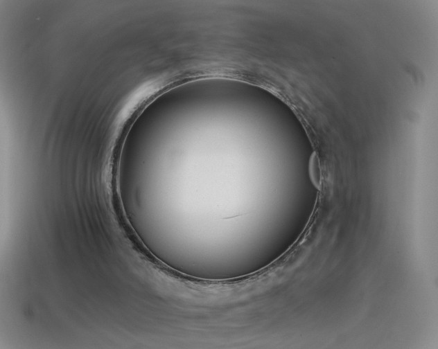 X0000114690006200910211322