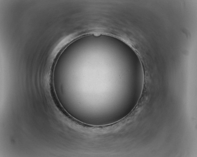 X0000114690007200910211322