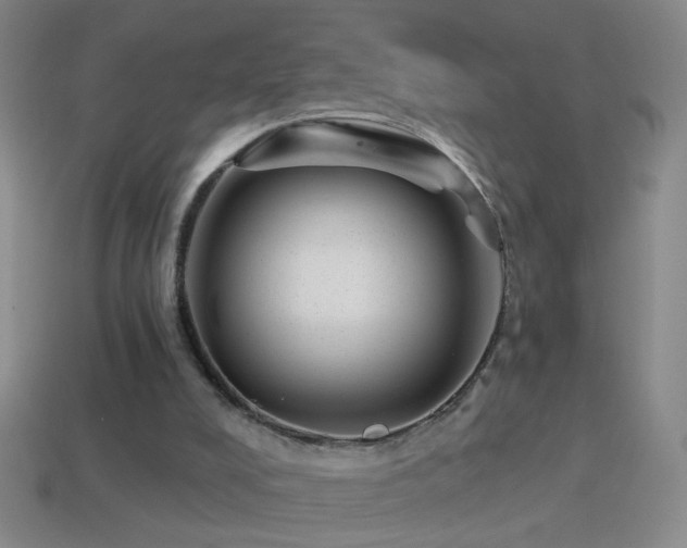 X0000114690008200910211322