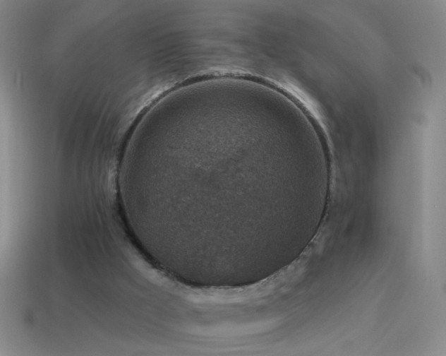 X0000114690009200910211322