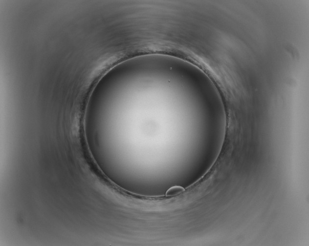 X0000114690010200910211322