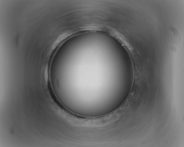 X0000114690011200910211322