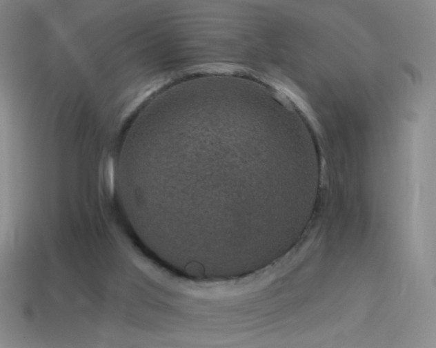 X0000114690013200910211322