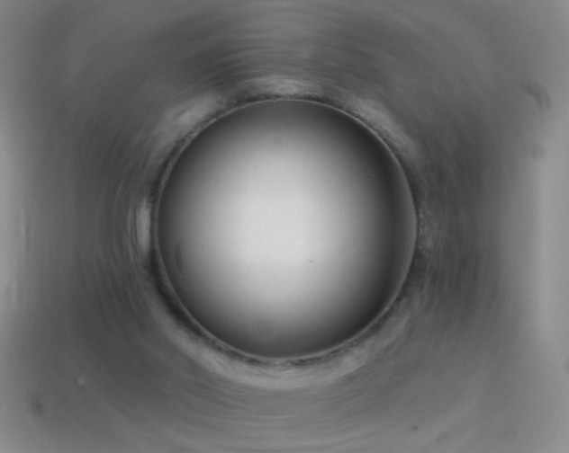 X0000114690014200910211322