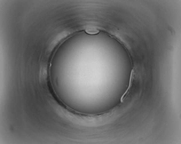 X0000114690015200910211322