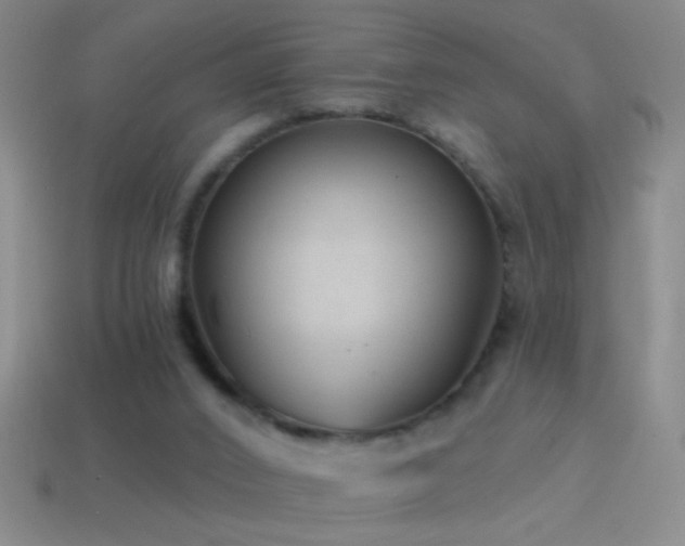 X0000114690016200910211322