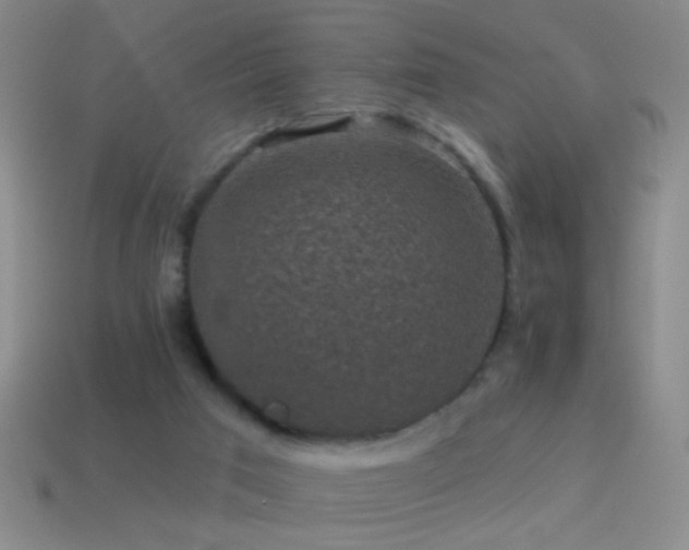 X0000114690017200910211322