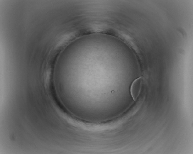 X0000114690018200910211322