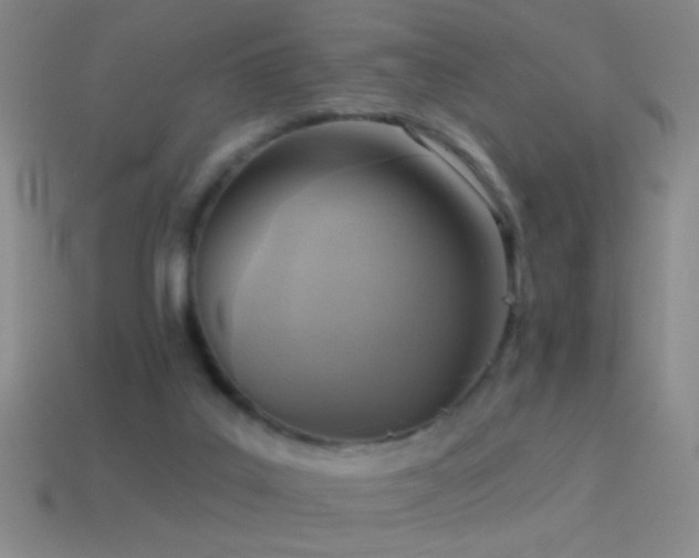 X0000114690019200910211322