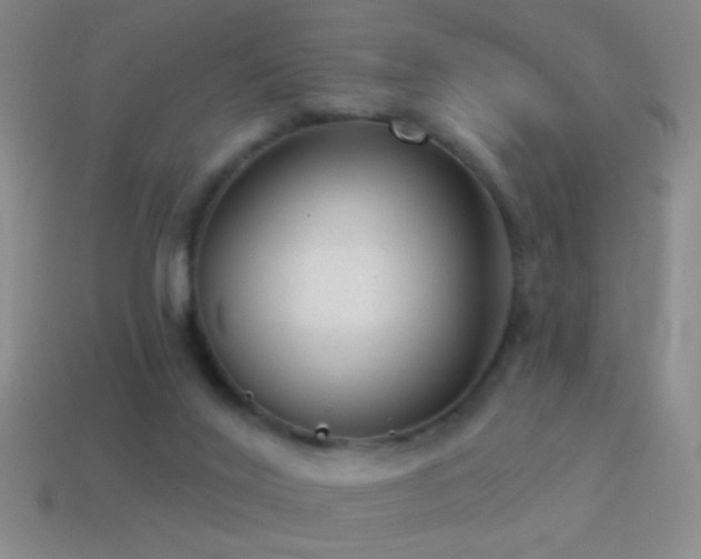 X0000114690020200910211322