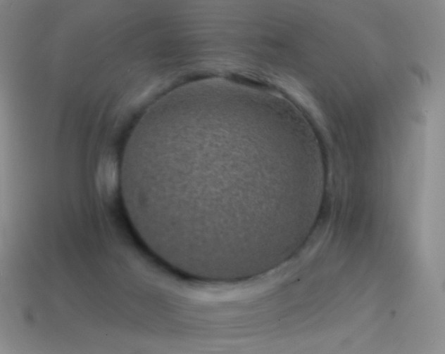 X0000114690021200910211322