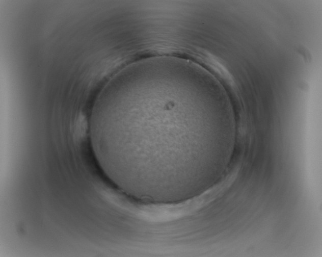 X0000114690025200910211322