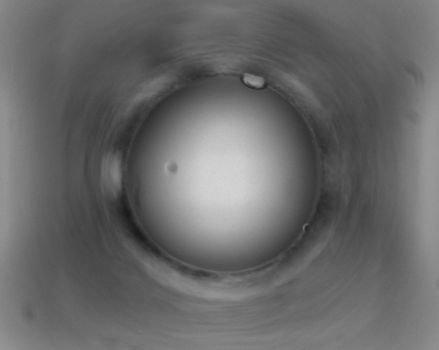 X0000114690028200910211322