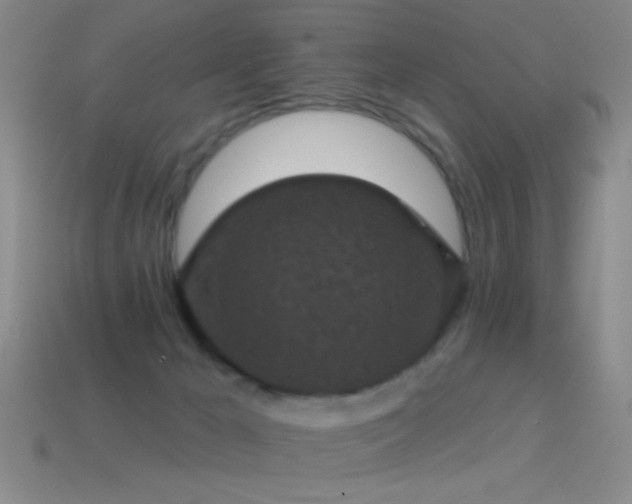 X0000114690029200910211322