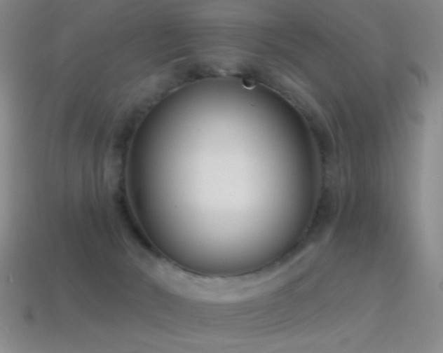 X0000114690030200910211322