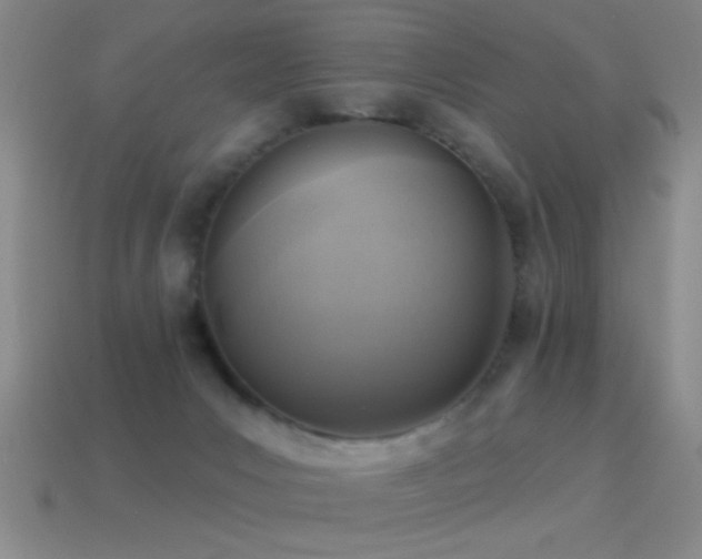 X0000114690031200910211322