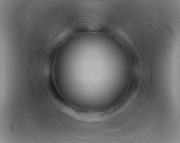 X0000114690032200910211322