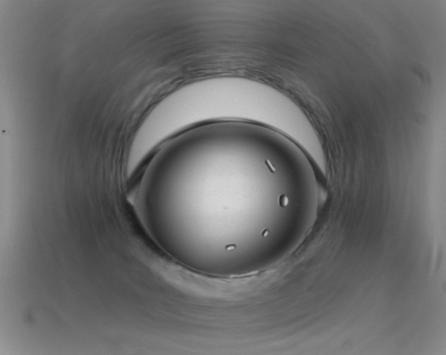 X0000114690035200910211321