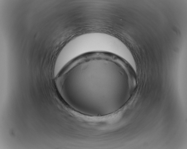 X0000114690039200910211321