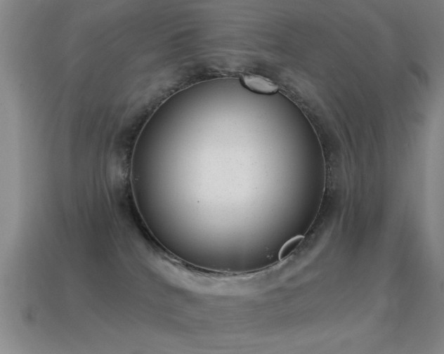 X0000114690040200910211321