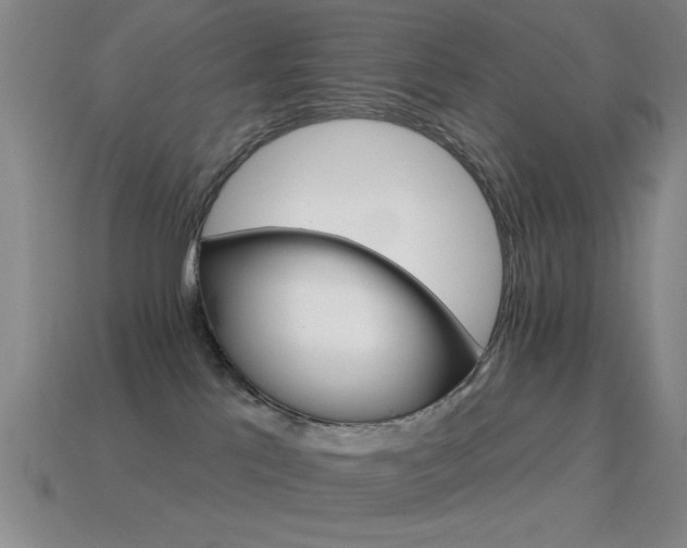 X0000114690041200910211321