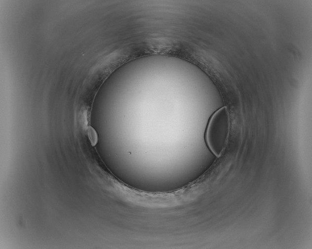 X0000114690042200910211321