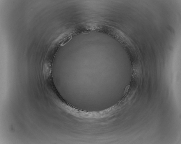 X0000114690043200910211321