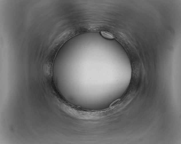 X0000114690044200910211321