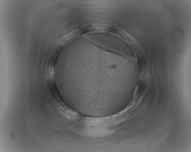 X0000114690045200910211321