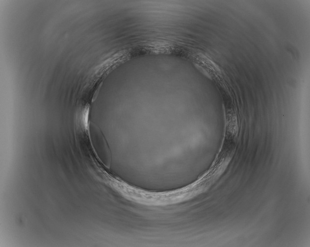 X0000114690047200910211321