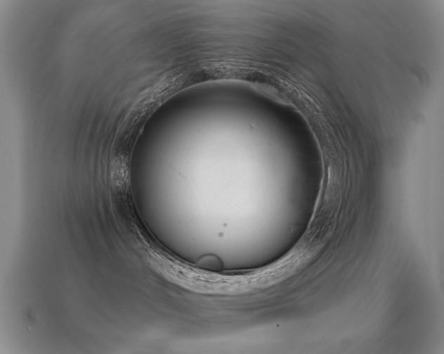 X0000114690048200910211321