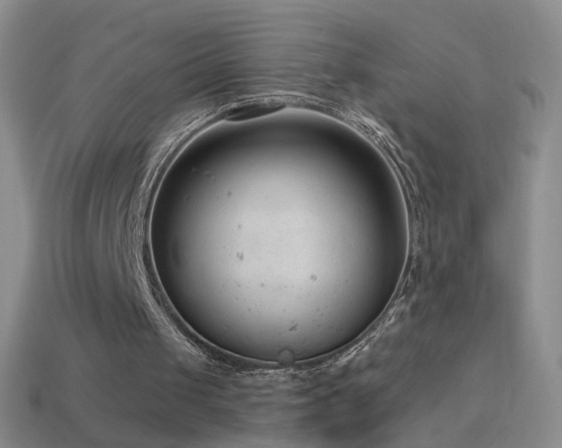 X0000114690049200910211321