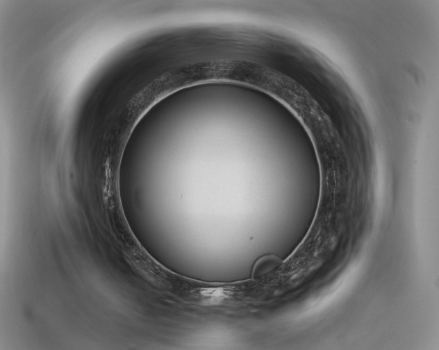 X0000114690050200910211321