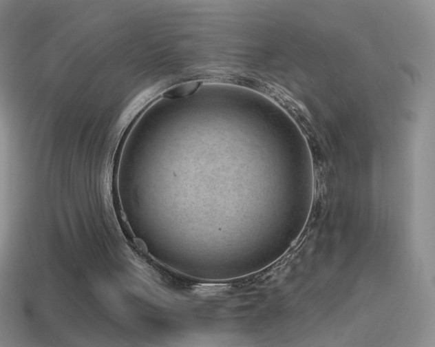 X0000114690051200910211321