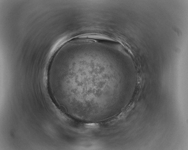 X0000114690053200910211321