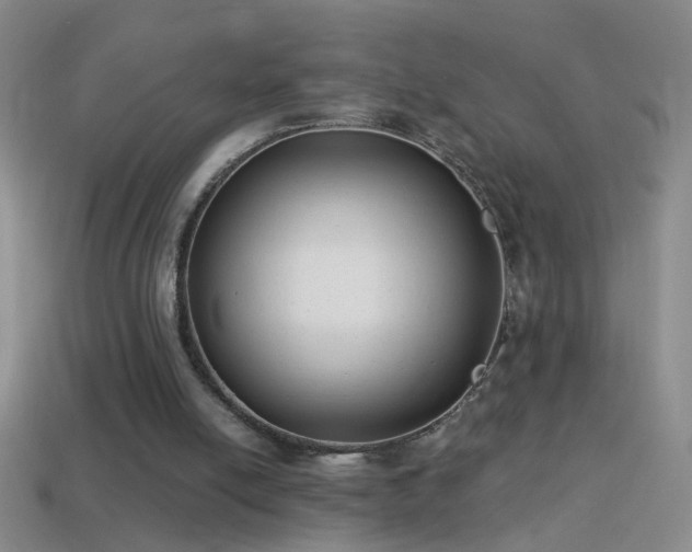 X0000114690054200910211321