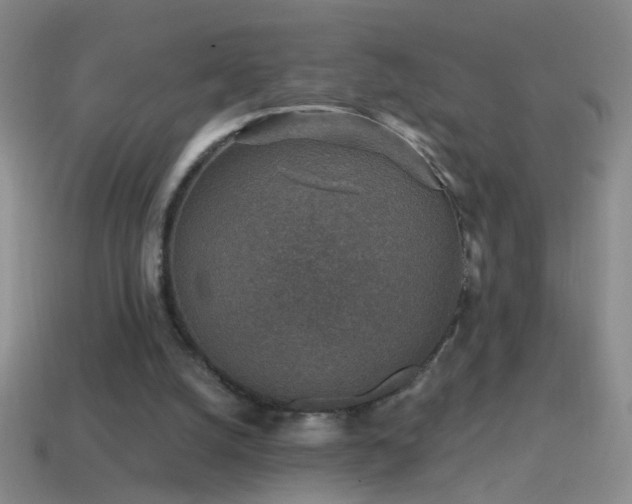 X0000114690056200910211321