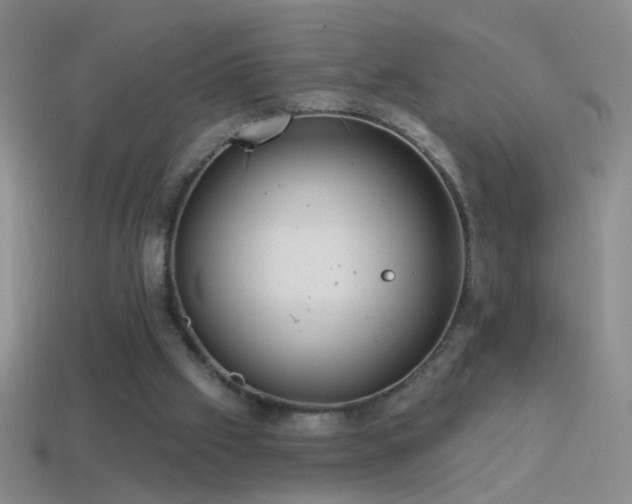 X0000114690057200910211321